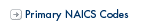 Primary NAICS Codes